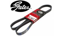 OEM Ремень поликлиновый Gates