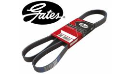 OEM Ремень поликлиновый Gates