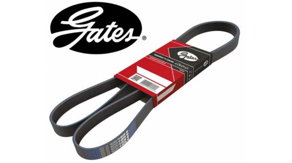 OEM Ремень поликлиновый Gates
